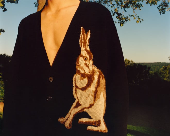 ロエベ」ウィリアム・モリスの代表的な4柄からインスピレーション受け