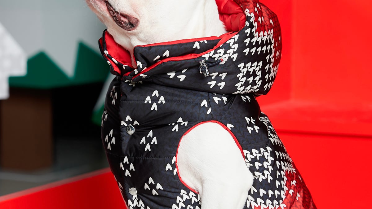 【MONCLER】  犬用ダウン 犬 ダウンベスト POLDOお値下げ⚪︎