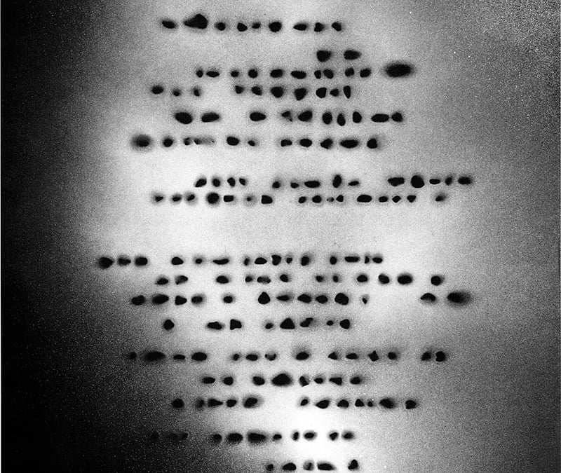 ギャルソンやアニエス・ベーとコラボしたアーティスト 鈴木