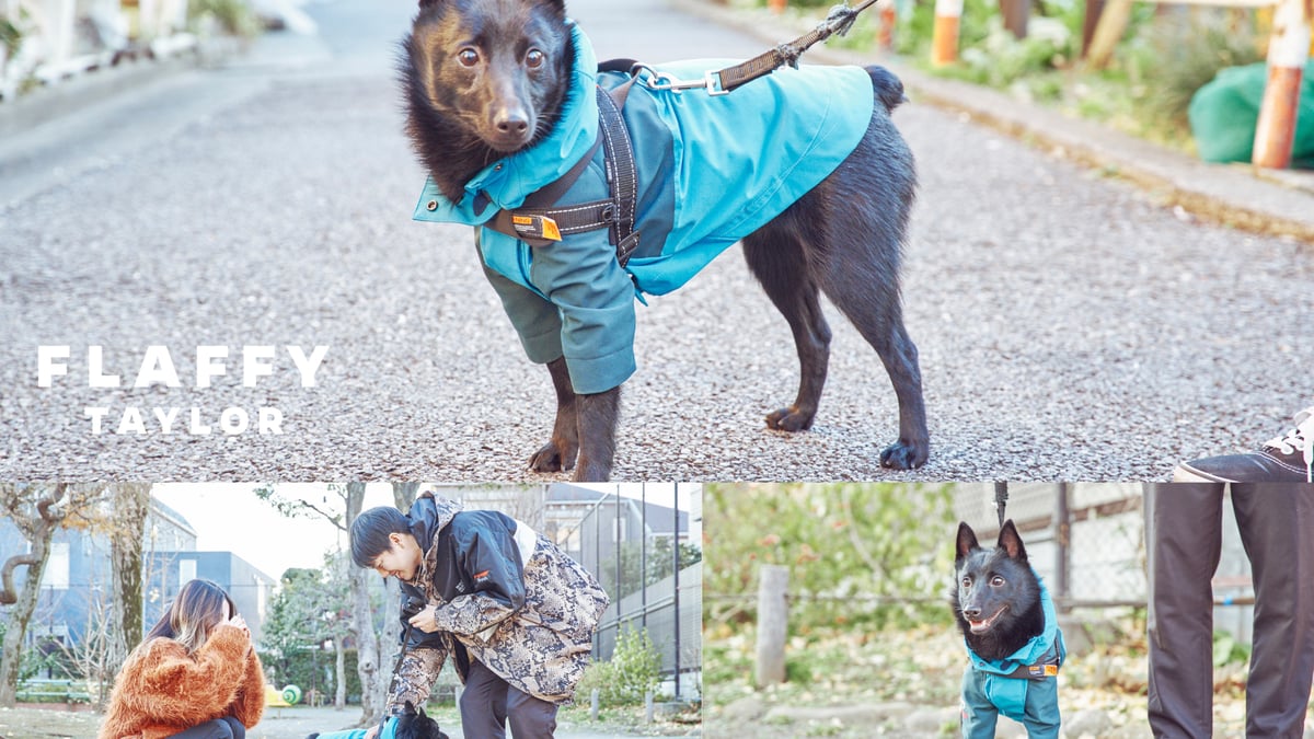 ブライス お洋服 アウトフィット 海外作家製 犬 BABY LIKE ブライス お