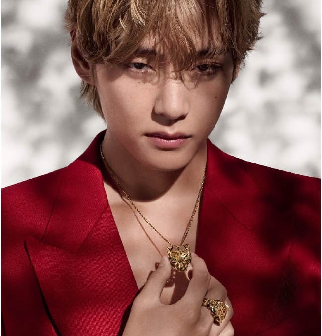 BTS Vメインビジュアルブランド】 Cartier カルティエ ポーチbag