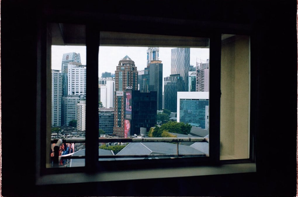 渡辺信喜、【葉柳】、希少な額装用画集画、新品高級額 額装付、状態良好 渡辺信喜、【葉柳】、希少な額装用画集画、新品高級額 額装付、状態