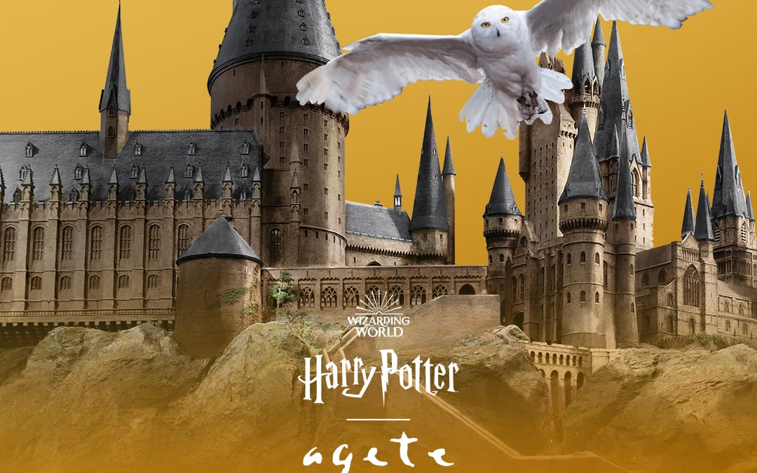 agete-harrypotter-4-c809e8d6- agete-harrypotter-4-c809e8d6-