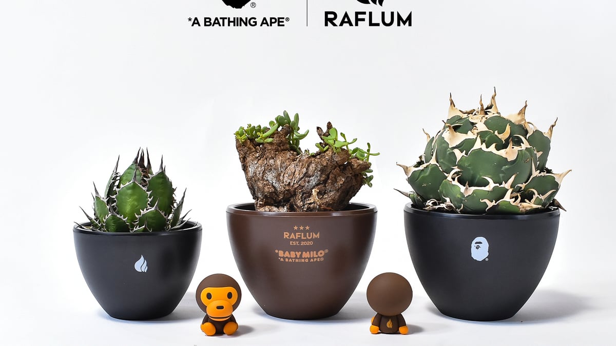 urban-jungle-weeks-010-