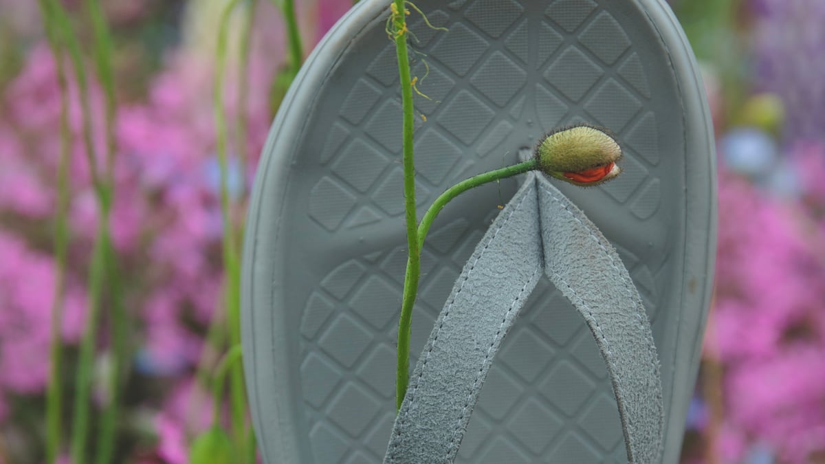 nonnative-pwani-ss25-20250604-