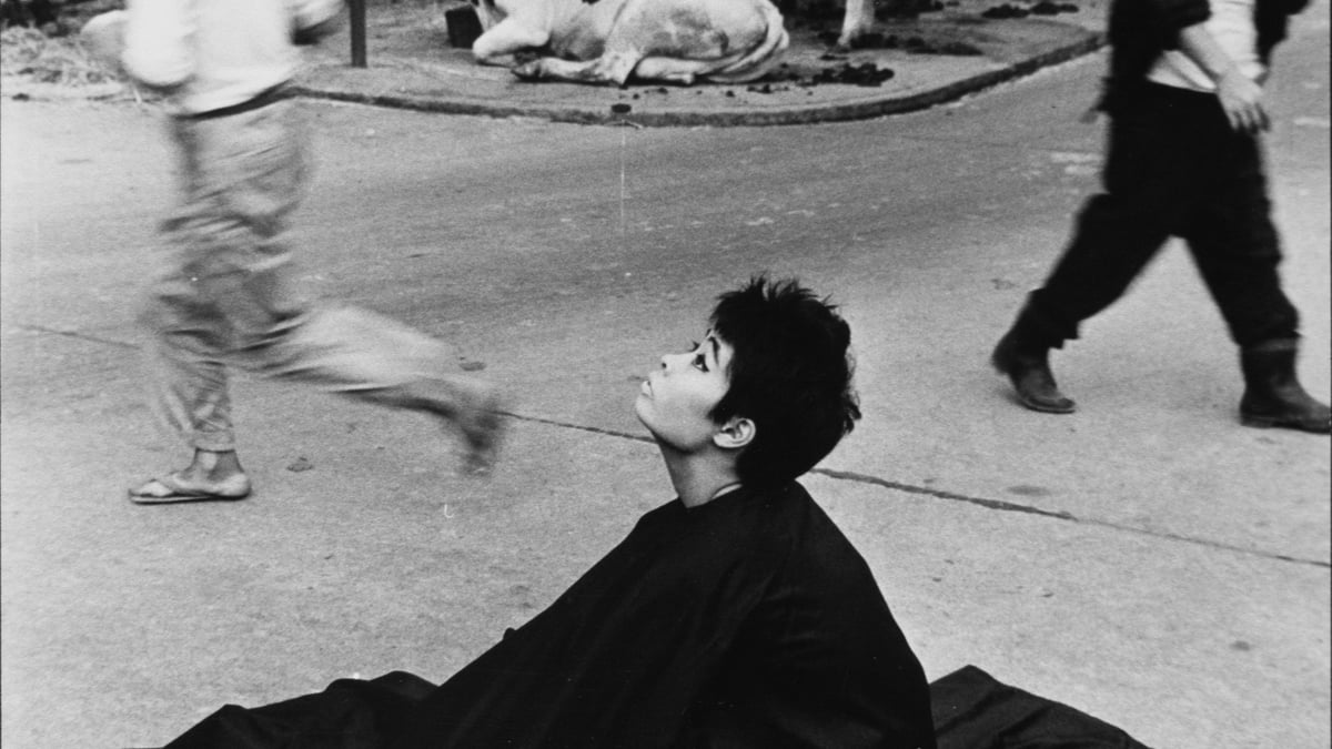 京都のアートスペース「PURPLE」が深瀬昌久の写真展を開催 妻に