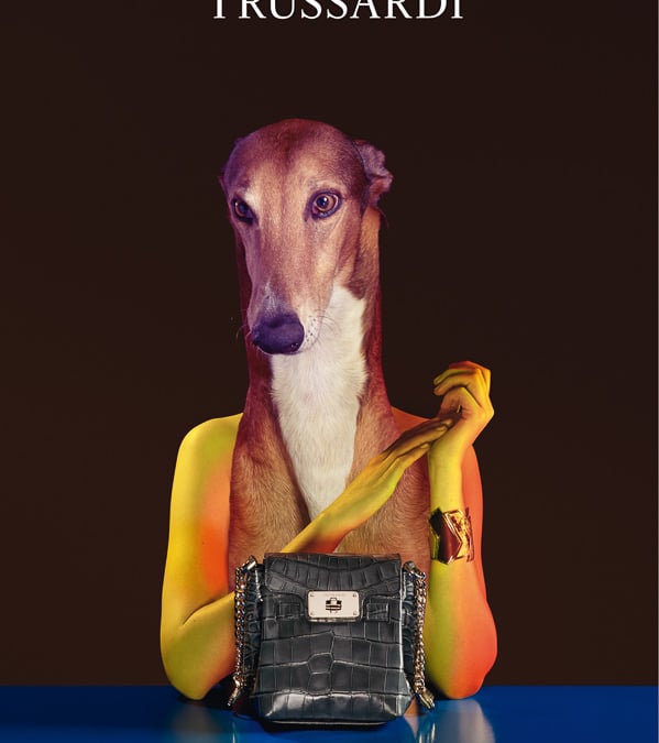 TRUSSARDI_14awvisual_20140719-