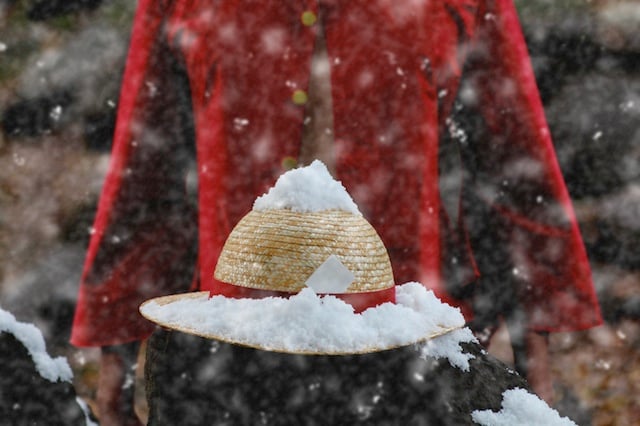 muhgiwara_rufi_2012_1.jpg