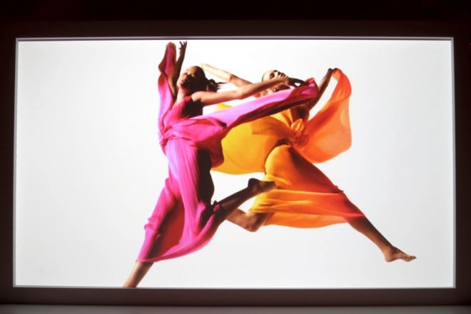 極美品✨ISSEY MIYAKE FETE プリーツ　レッド　シースルー　花柄 極美品✨ISSEY MIYAKE FETE プリーツレッドシースルー花柄