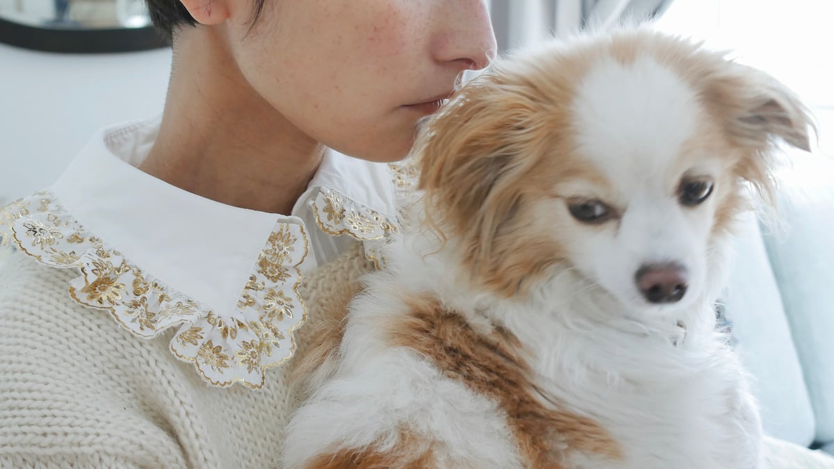 YUKI FUJISAWA 2020 Collection | 画像36枚 - FASHIONSNAP