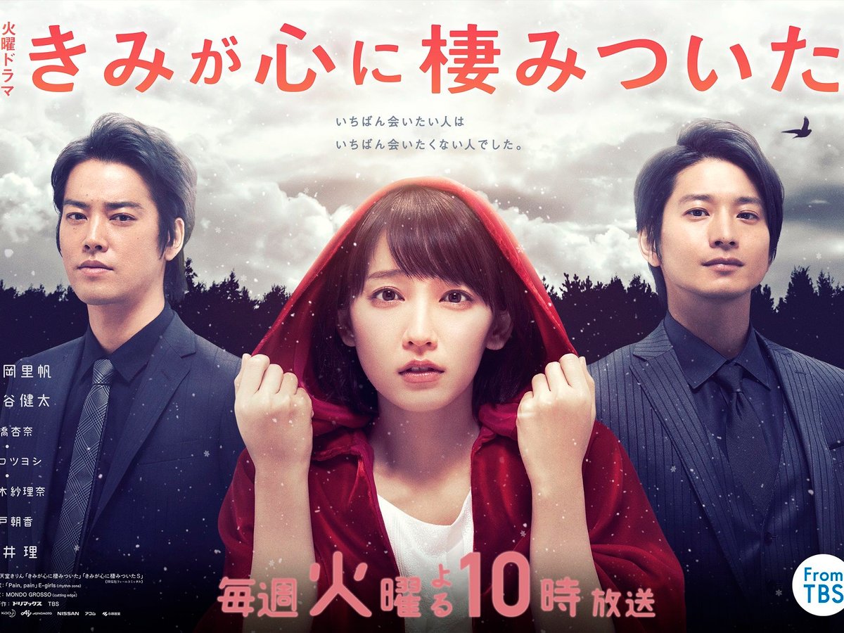 きみが心に棲みついた DVD 全巻 セット ドラマ 吉岡里帆 桐谷健太 向井理 下着メーカーが舞台、吉岡里帆主演ドラマ「きみが心に棲みついた
