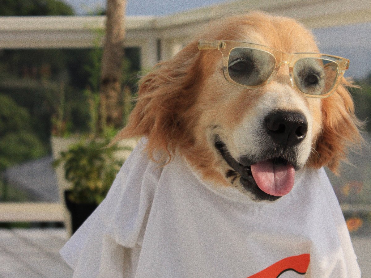 熊谷隆志のウィンダンシーとpen publicがコラボ、グラフィックTシャツ