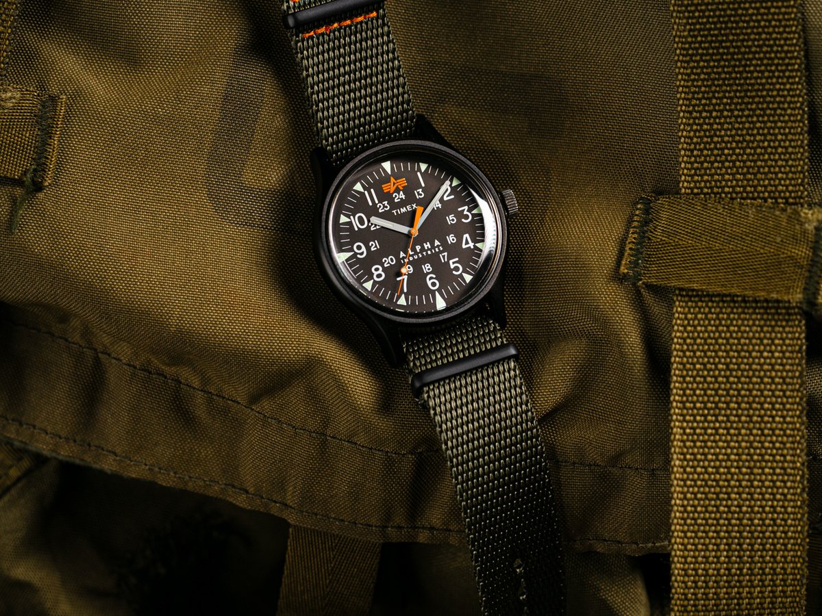 Timex alpha online