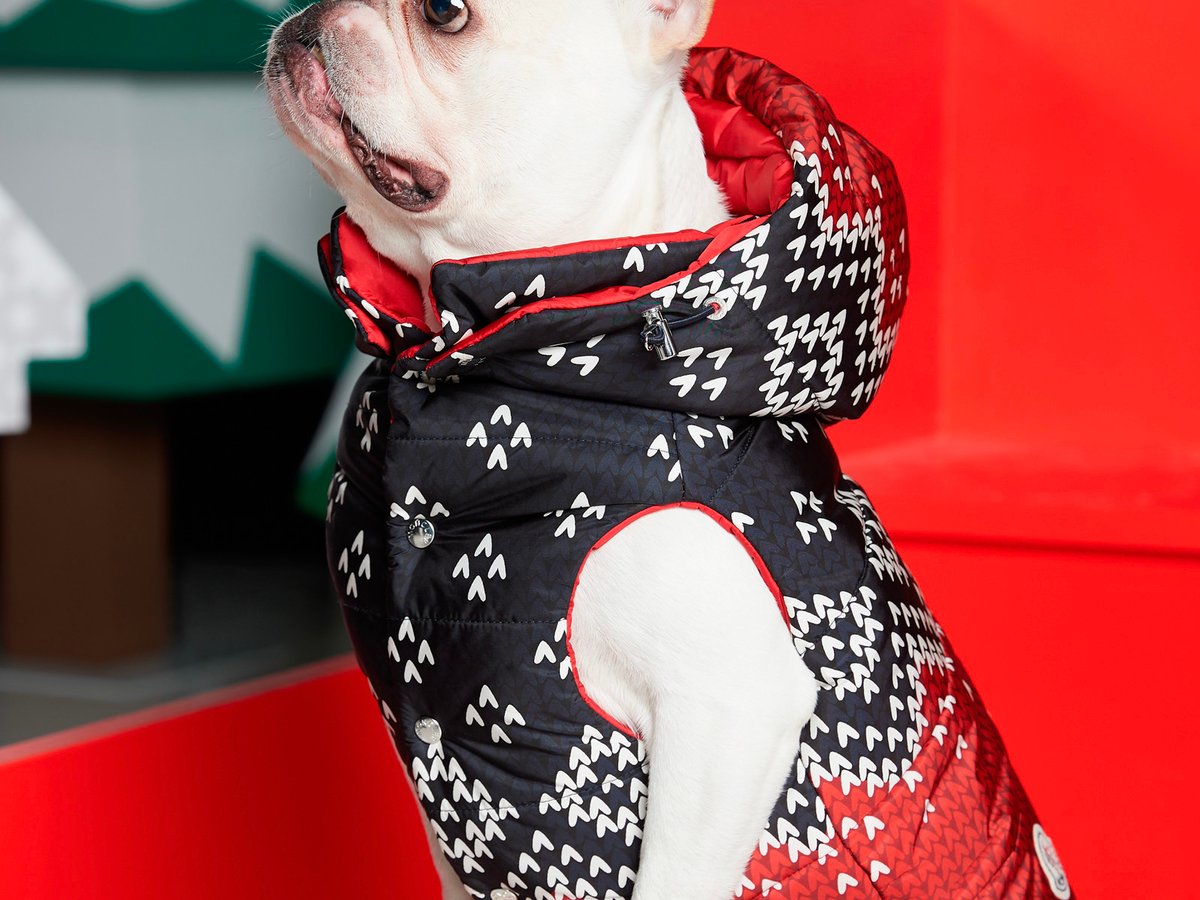 MONCLER X POLDO DOG  モンクレール犬用ダウン気になっている飼い主さん是非