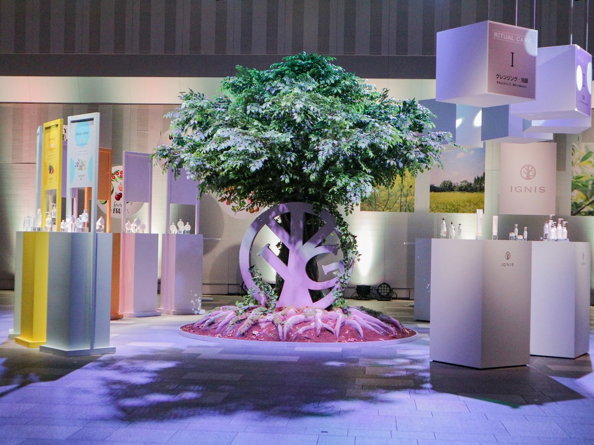 アルビオングループの「イグニス」が20年春にリブランディング