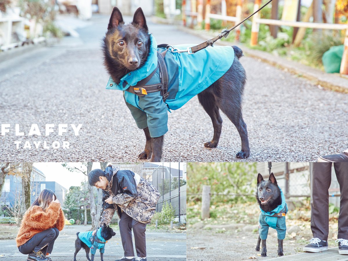 飼い主の服を愛犬用にリメイクする新サービス「FLAFFY TAYLOR