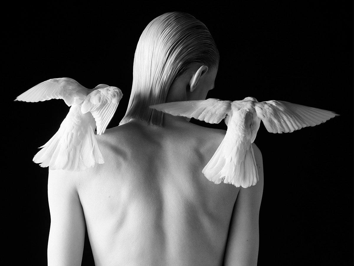 セリーヌの新店舗が神戸阪急にオープン エディ・スリマンが空間