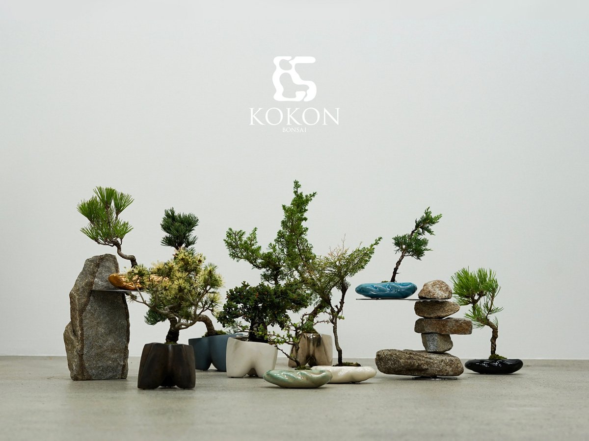 盆栽とそのまわり」 に特化したブランド「ココン」がデビュー、器や