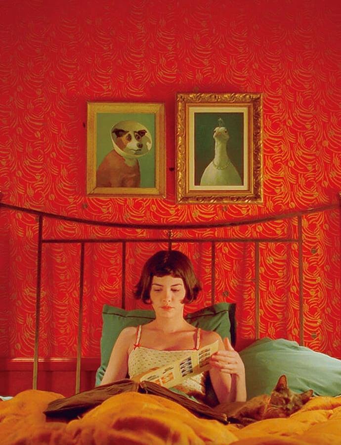 amelie-202311131.jpg