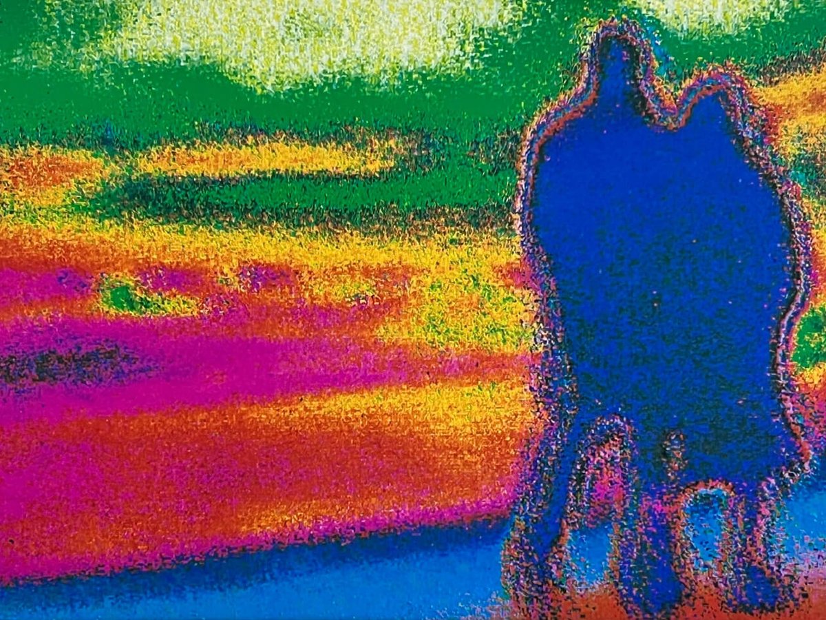 映画「PERFECT DAYS」の監督ヴィム・ヴェンダースが個展を開催、写真や