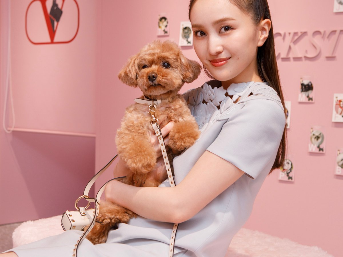 ⭐️ヴァレンティノ⭐️ 未使用　ガラヴァーニ　ペット　 犬用　首輪　スタッズ ⭐️ヴァレンティノ⭐️ 未使用 ガラヴァーニ ペット 犬用 首輪