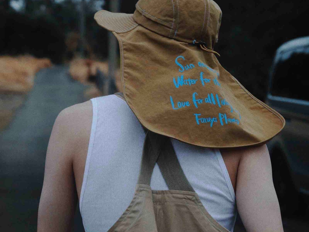 keimen-furuyaplants-hat-001-
