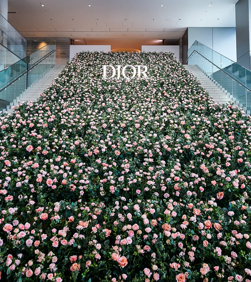 ディオールが「プレステージ」のアイコン美容液にフォーカスした