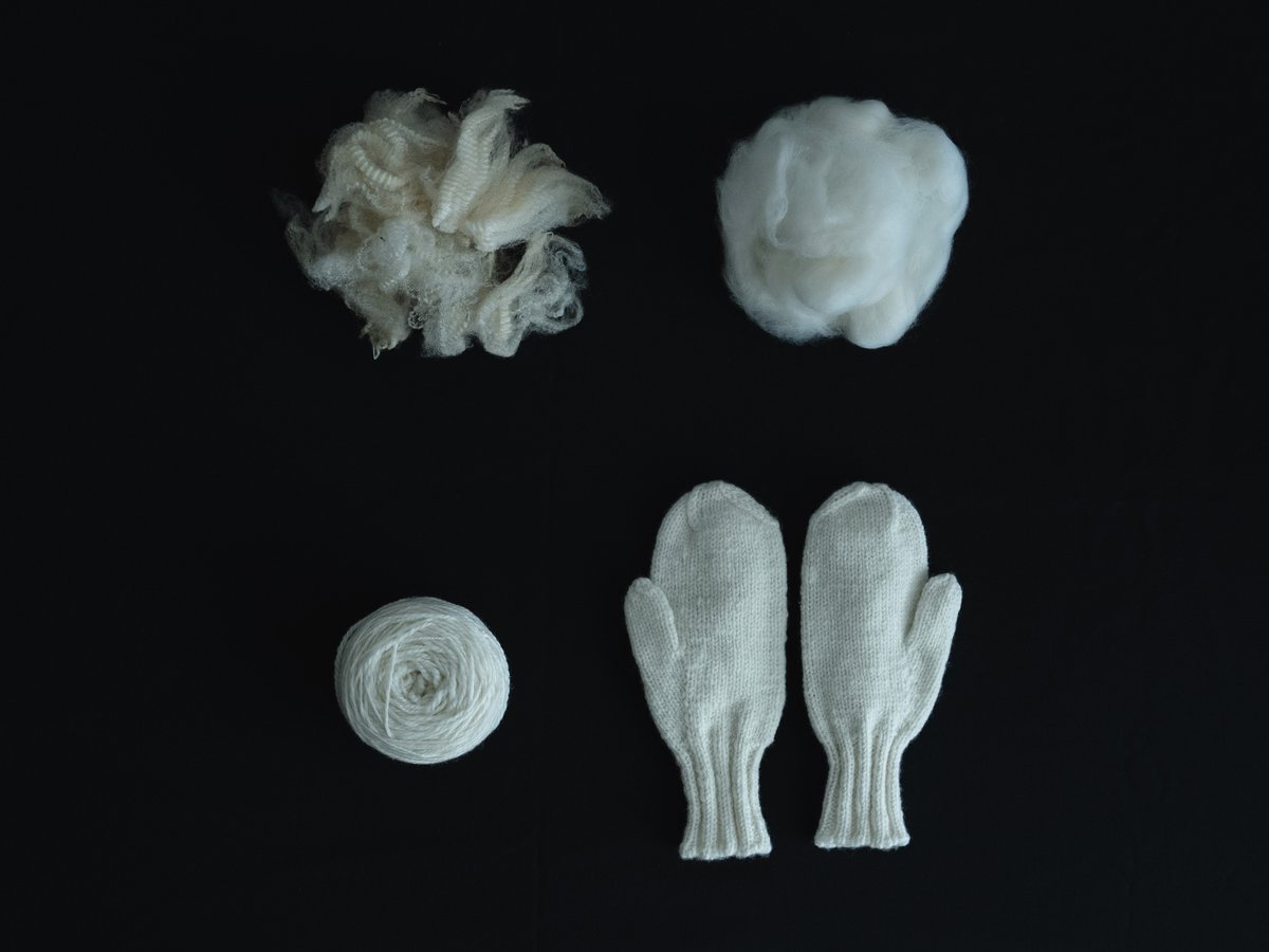 mina-mibi-20240919-4-48190c7b-