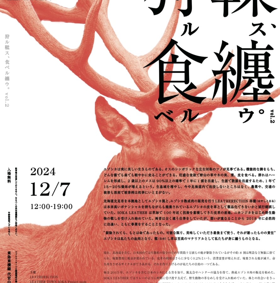 日本鹿【本州鹿】角　まとめて 日本鹿【本州鹿】角まとめて