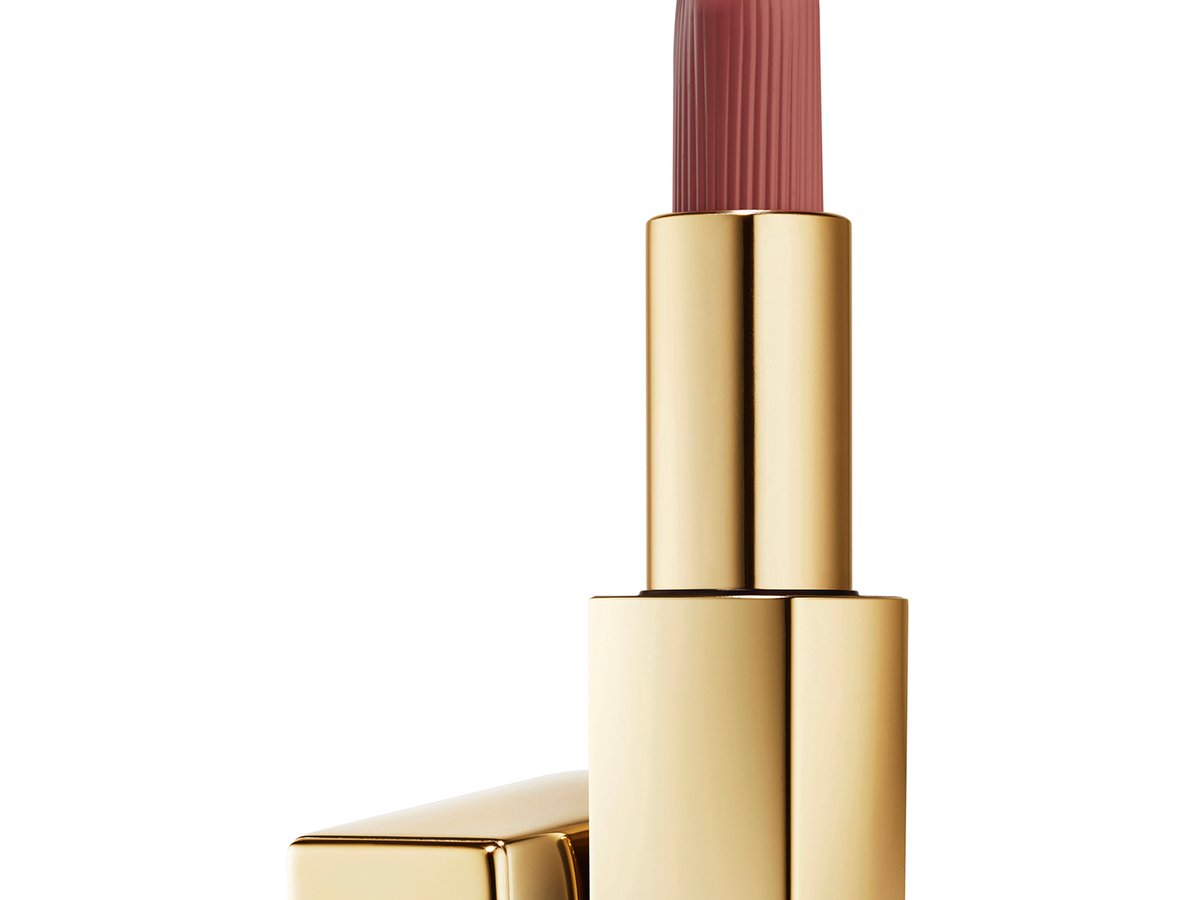 2本 エスティローダー ピュアカラーリップスティック 220 パワフル