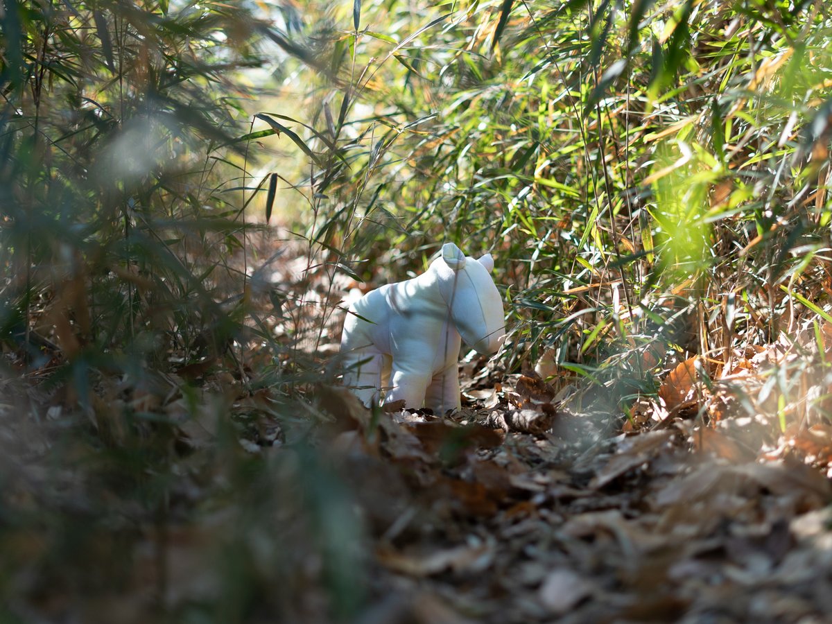 furusato-2-1ebd7e43-2dfb-4ee2-