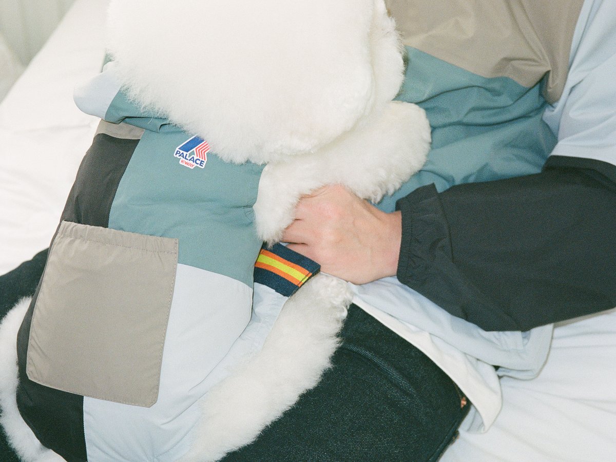 パレスから飼い主と愛犬用のアイテムが登場、ケイウェイとコラボで