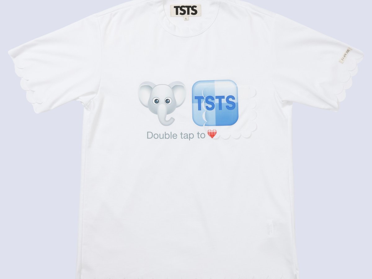 専用　　TSTS Tシャツ tsts-dsmg-003-159b5c92-4d4d-
