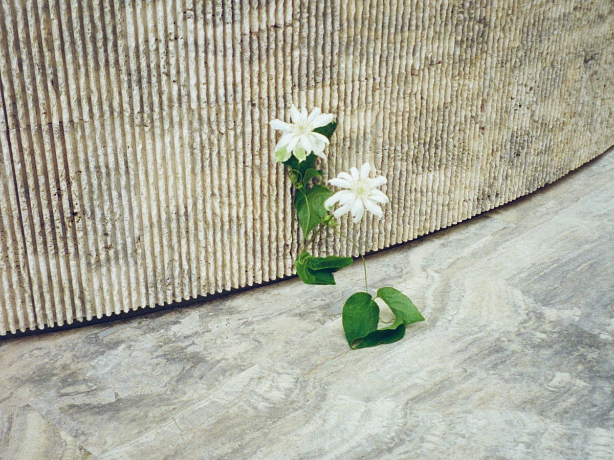 jilsander_edenworks_ginza-