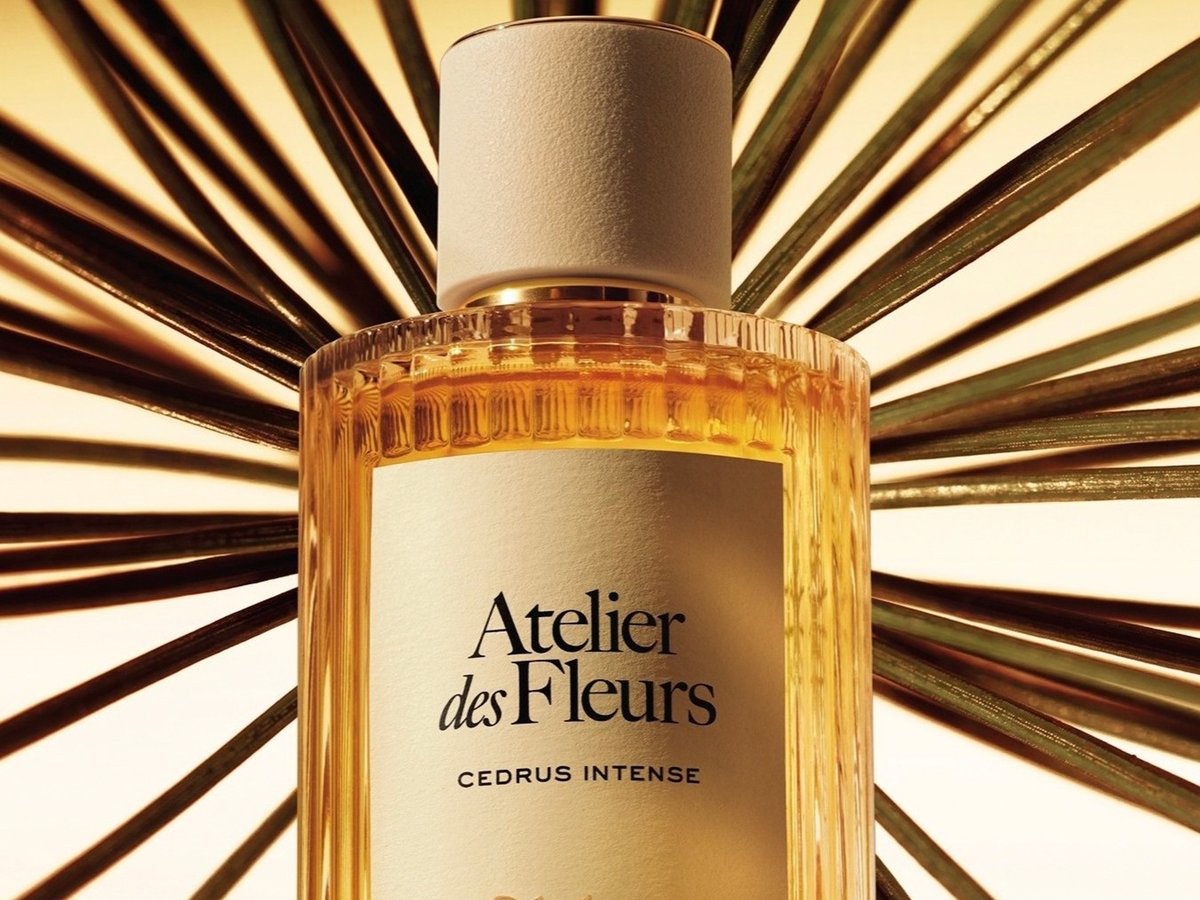 クロエ」アイコニックなフレグランスの象徴的なシダーの香りが新たな次元へ