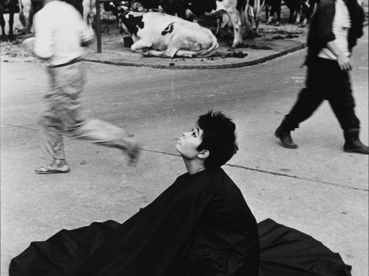 京都のアートスペース「PURPLE」が深瀬昌久の写真展を開催 妻に