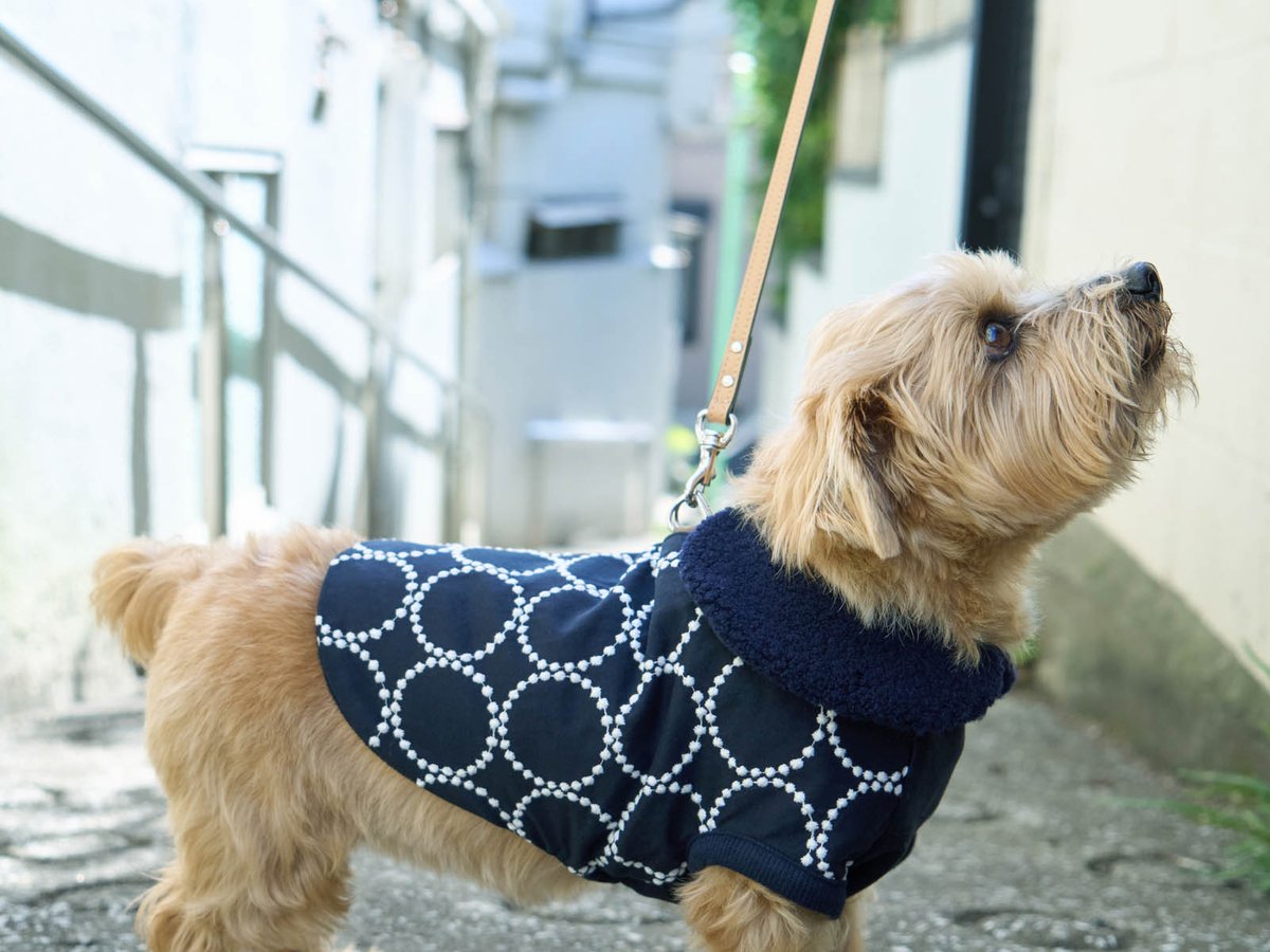 ミナ ペルホネンが犬用アイテムを発売、コットンジャカード素材を採用