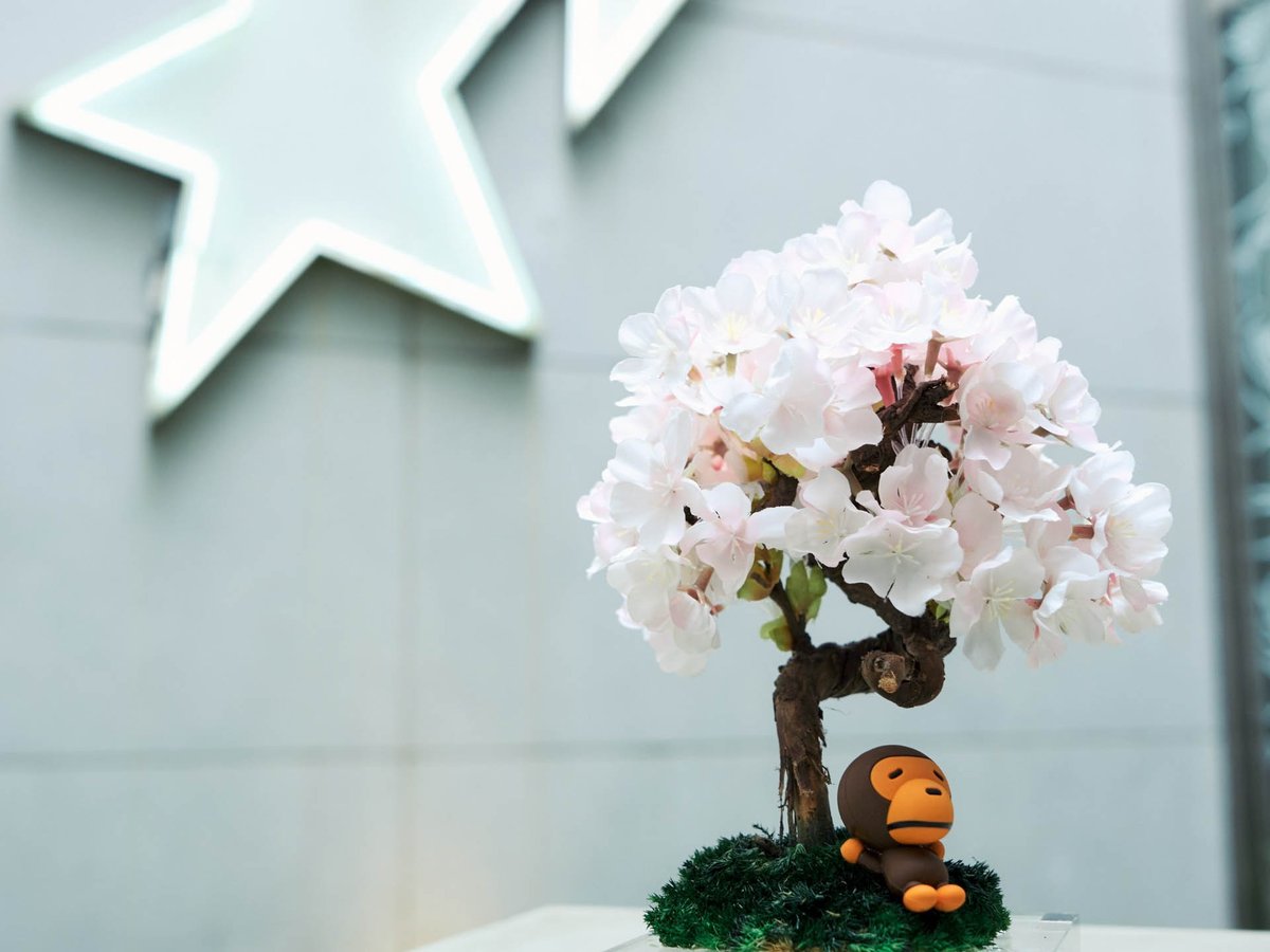 bape-x-japan-edition-baby-milo