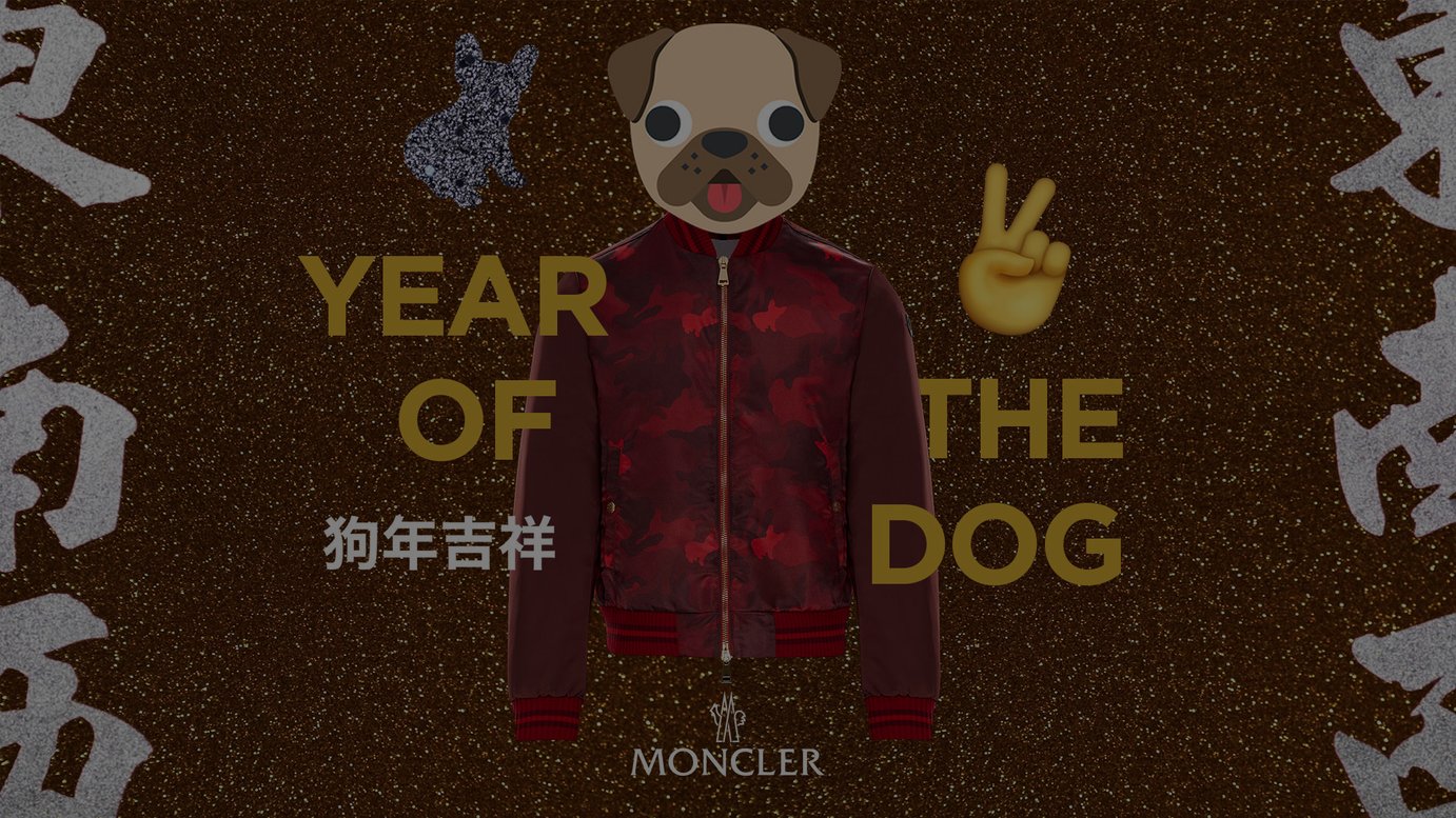 動画 モンクレール 犬モチーフが隠れたカモフラージュ柄のジャケットとドッグウエア発売