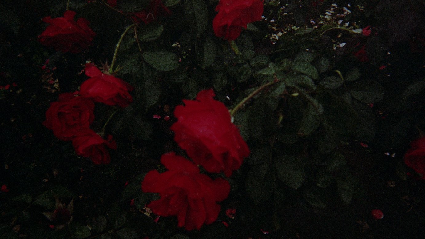 連載 きっと誰も好きじゃない 3人目 かわいい絵文字を使う渋谷の彼