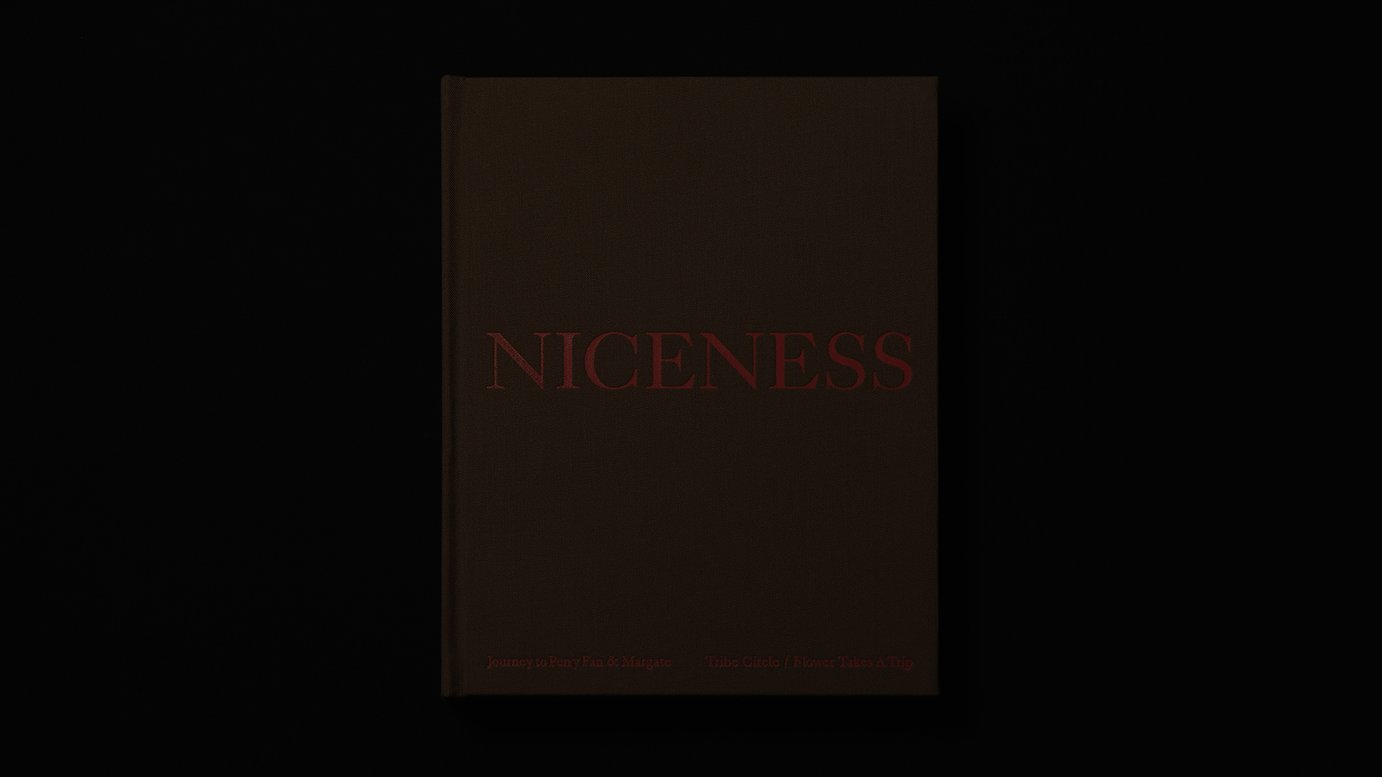 NICENESS Archive Book 2022