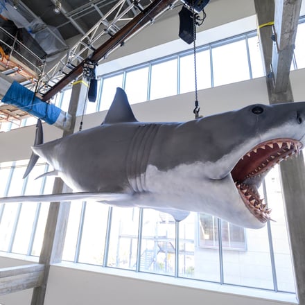 ロサンゼルスのアカデミー映画博物館に設置された「ブ ルース・ザ・シャーク（Bruce the Shark）」インスタレ ーション。©Academy Museum Foundation