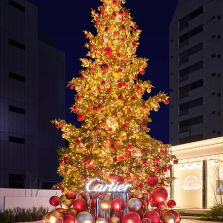 表参道のクリスマスツリー Image by ©️Cartier