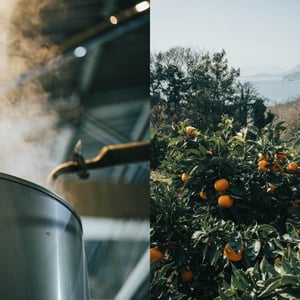 「THREE」が広島・尾道に3ヶ所目の蒸留所を開設　新たな精油づくりの拠点に