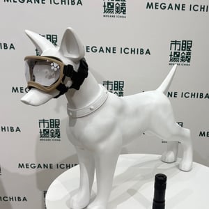 眼鏡市場がペット用サングラス「ワングラス」発売　人間用と同じ基準で開発