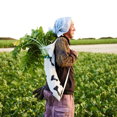 ヴィジュアル画像