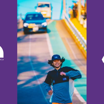 ノース・フェイス パレス