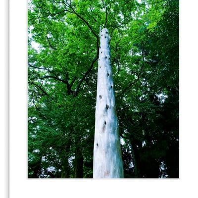 大宮エリーの写真作品集「SACRED SPACE」