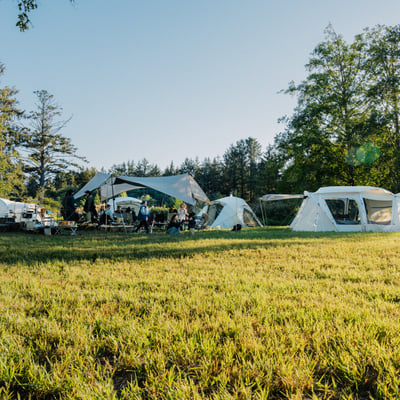 草地に建てられたテントでキャンプを楽しむ人々