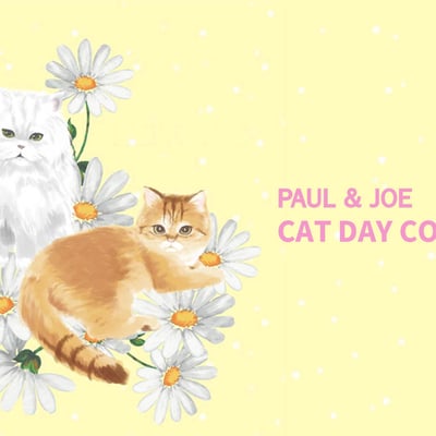 PAUL & JOEが2月22日に発売するコレクションにデザインされる2匹の猫のイメージ
